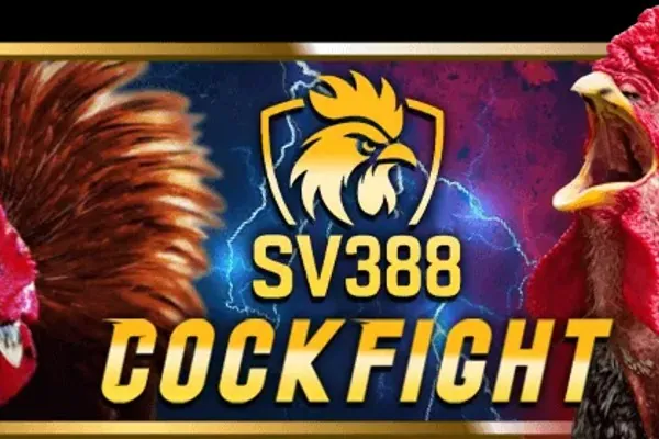 Chiến lược cá cược đá gà hiệu quả tại AZ888