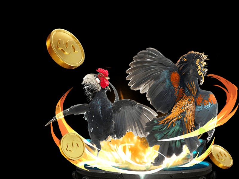 Trải nghiệm đá gà trực tiếp trên ứng dụng AZ888